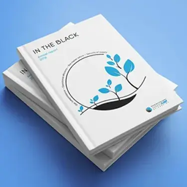 Book cover for 'Clients from Pages'